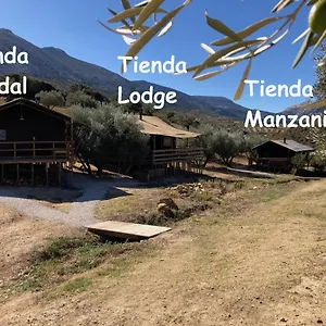  Campo de lujo Cortijo Dos Santos